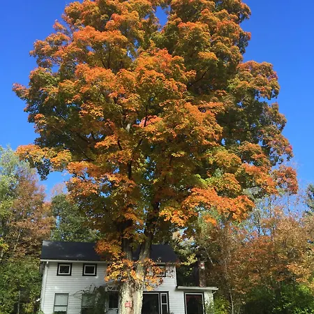 1894 Catskills Farmhouse Retreat
